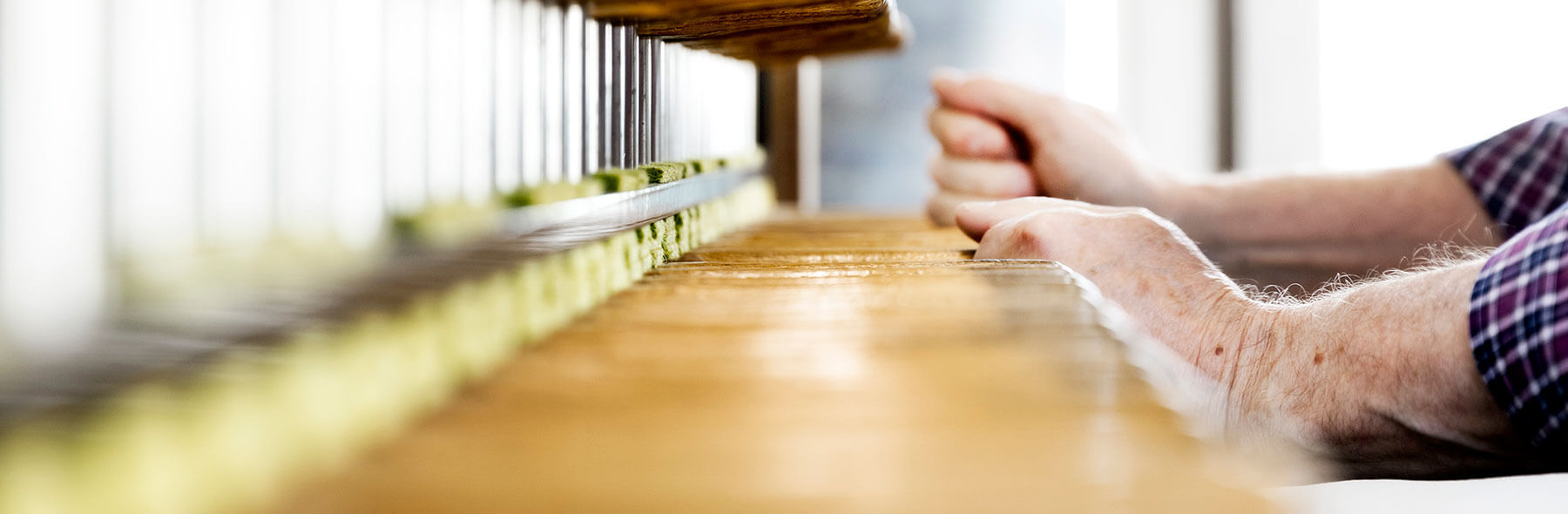 Stichting Het Venloos Carillon - Activiteiten > Zomerconcerten